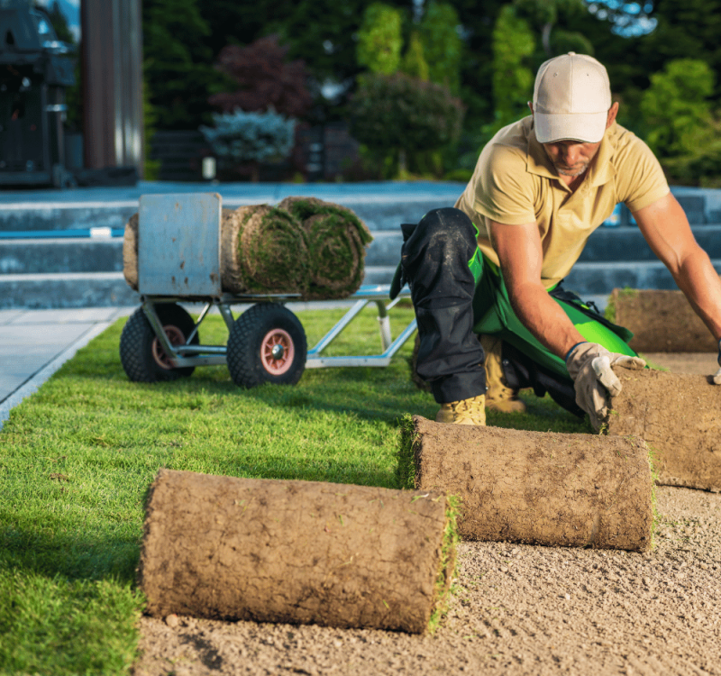Rollrasen verlegen durch Garten- und Landschaftsbau Fachkraft in Paderborn