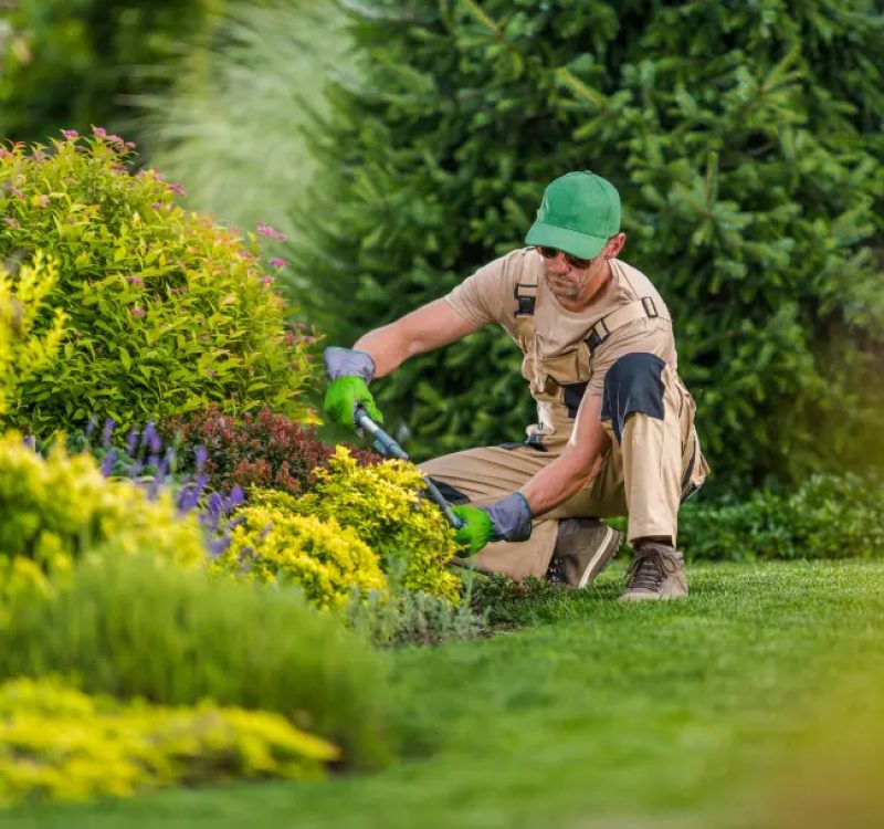 GettyImages-1265659704-1