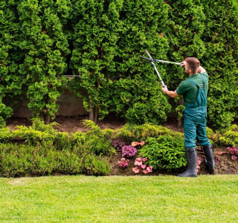 GettyImages-2207150760